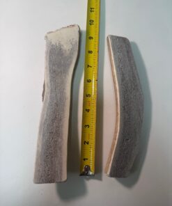Extra Large Split Elk Antler (8" to 10")